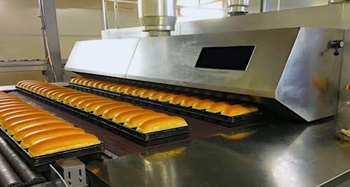 bread bakery machine buy 面包烘焙机购买