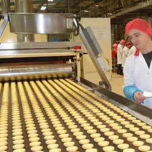 bakery equipment cake machine bread demoulding1 烘焙设备 蛋糕机 面包脱模1