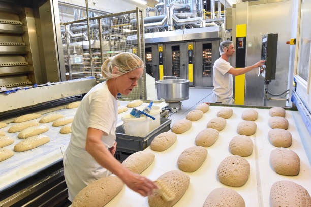 welbilt homemade bakery bread machine welbilt 自制面包店面包机