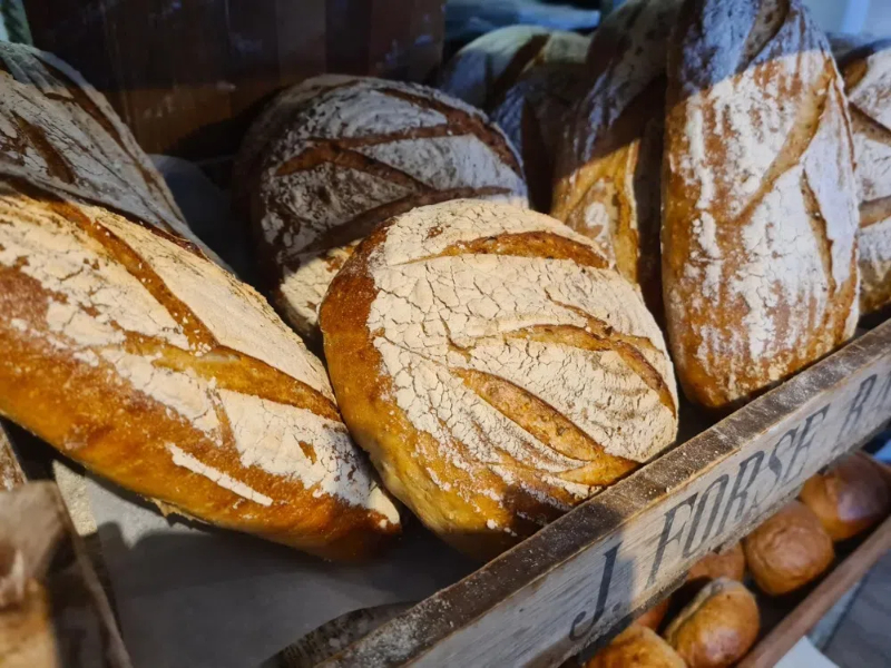 what equipment do you need for a bakery 开面包店需要什么设备