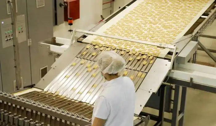 biscuit baking machine 饼干烘烤机