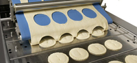 //ilrorwxhpmklpn5m.ldycdn.com/cloud/liBmqKqplmSRmkmpjlmijr/lang-bakery-equipment2.jpg