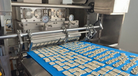 //ilrorwxhpmklpn5m.ldycdn.com/cloud/ppBpqKqplmSRqlrjmprpjm/Pretzel-Biscuit-Production-Line.jpg